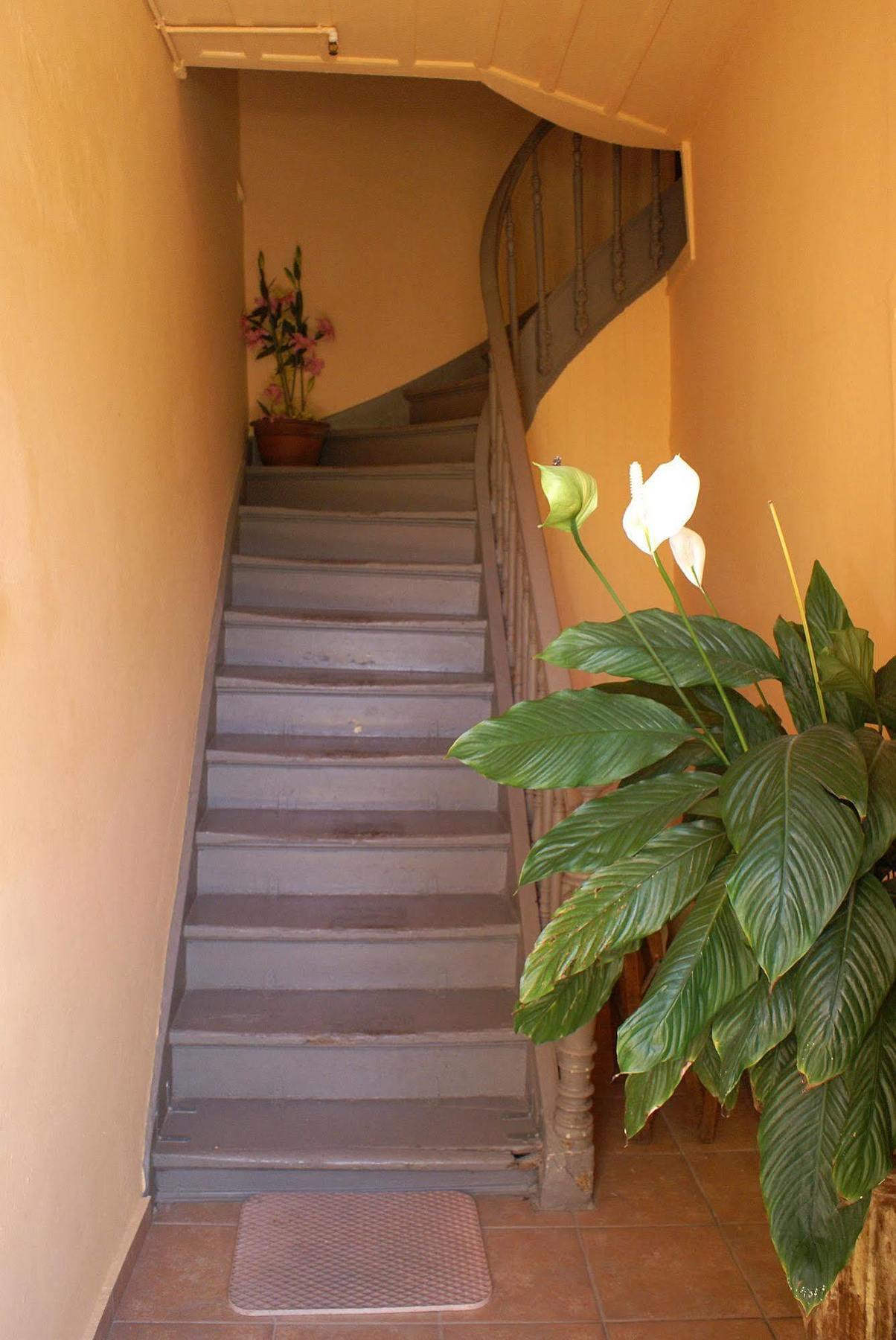 Kydonia Rooms Chrissi Akti Chania Exterior foto